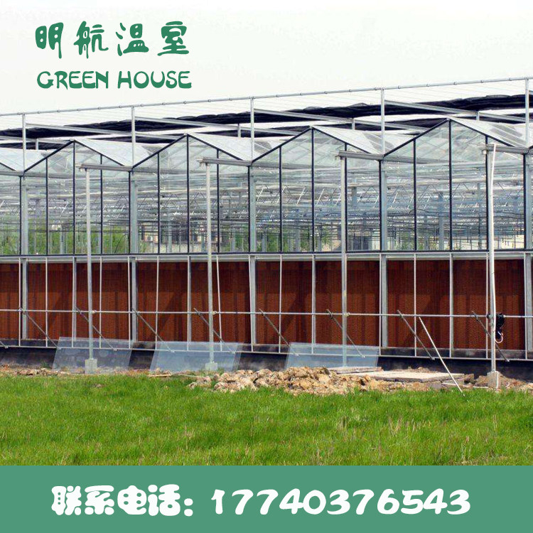 Venlo-style glass greenhouses with skeleton outside the shading greenhouses flowers simple greenhouse manufacturers direct sales