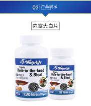 British large white slice Luohan parrot colorful head hole dragon fish goldfish with large white slice outside and inside ascites enteritis