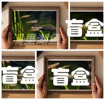 Shrimp Shrimp Native Fish Lap Blind Box Package Hanging Paintings and Pictures