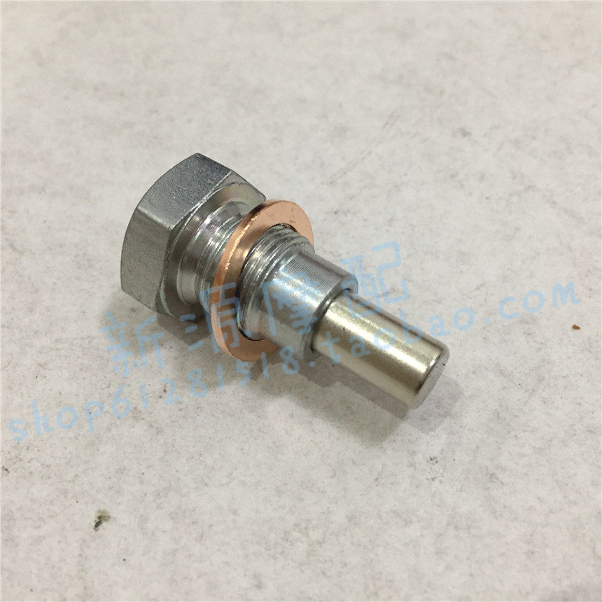 Huanglong Cruise Hurricane BJ600 BN600 BJ300 -C BJ500 Magnetic Oil Drain Screw Oil Pan Bolt