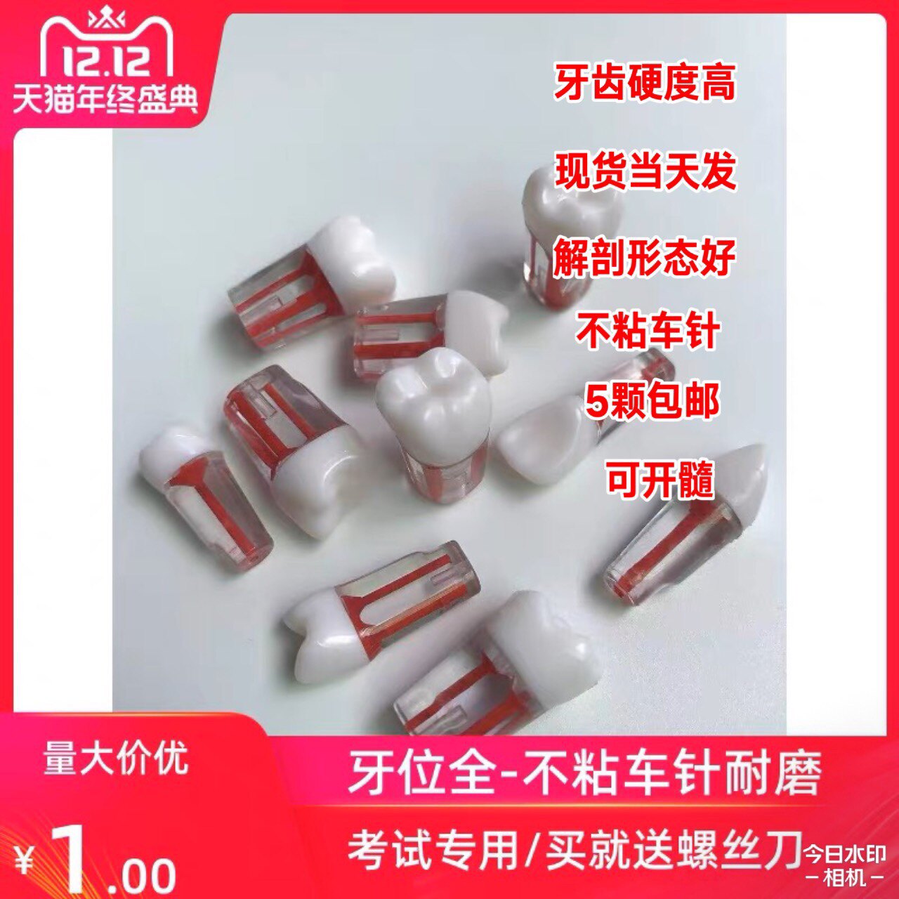 牙医考试教具开髓牙粒根管离体牙带髓腔牙窝洞制可安装模型使用