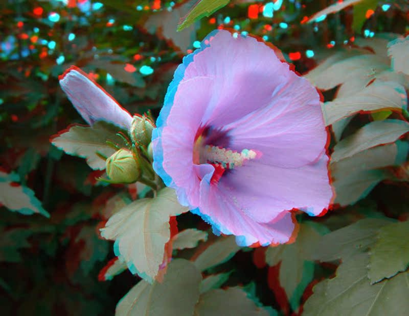 Lunettes 3D 3D GLASSES - Ref 1242471 Image 21