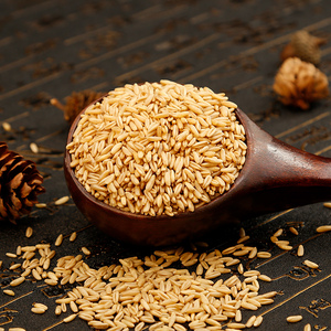 【神价】1kg五谷杂粮燕麦米