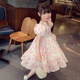 Girls dress foreign style children's puff sleeve floral princess dress spring and summer 2023 new little girl net red skirt