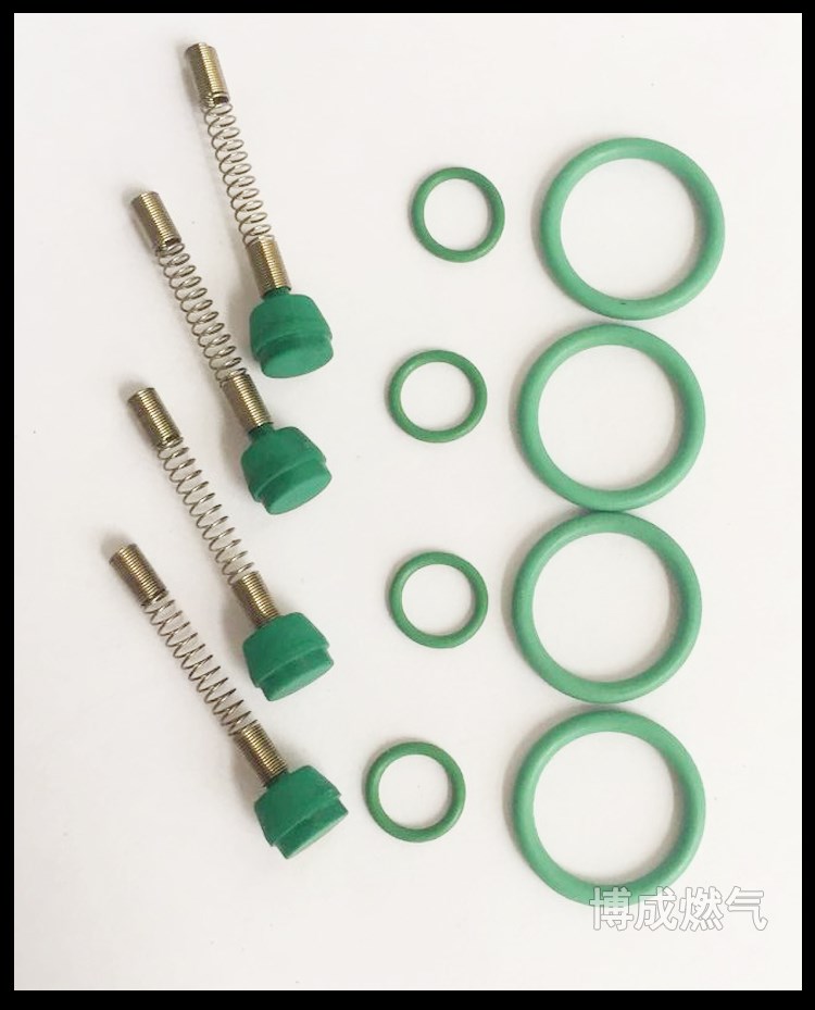 CNG xe hơi khí tự nhiên ban đầu xe phun đường sắt mùa xuân NT401 hệ thống phun đường sắt van lò xo lõi cao su vòng dầu để phụ kiện gas - Sửa đổi ô tô chổi lau rửa xe ô tô
