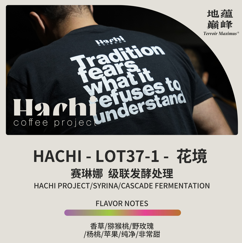 China Yunnan Hachi Flower Garden 26Th Harvest Seasonal Elina Cascade Fermented Processed Green Coffee Beans | The Pinnacle of Earthly Excellence