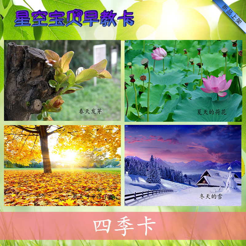 Seasonal card Seasonal card Cognitive spring, summer, autumn and winter cognitive card Autism autism language training ABA teaching aids