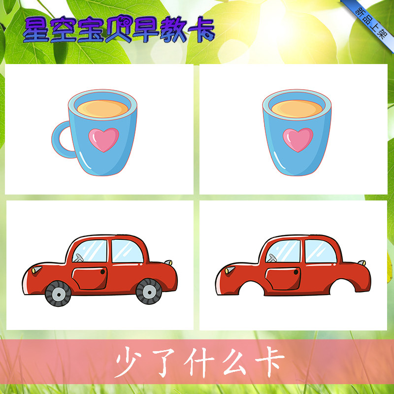 What is missing, what is wrong, what is missing, cognitive cards, autism, special education aids, language training