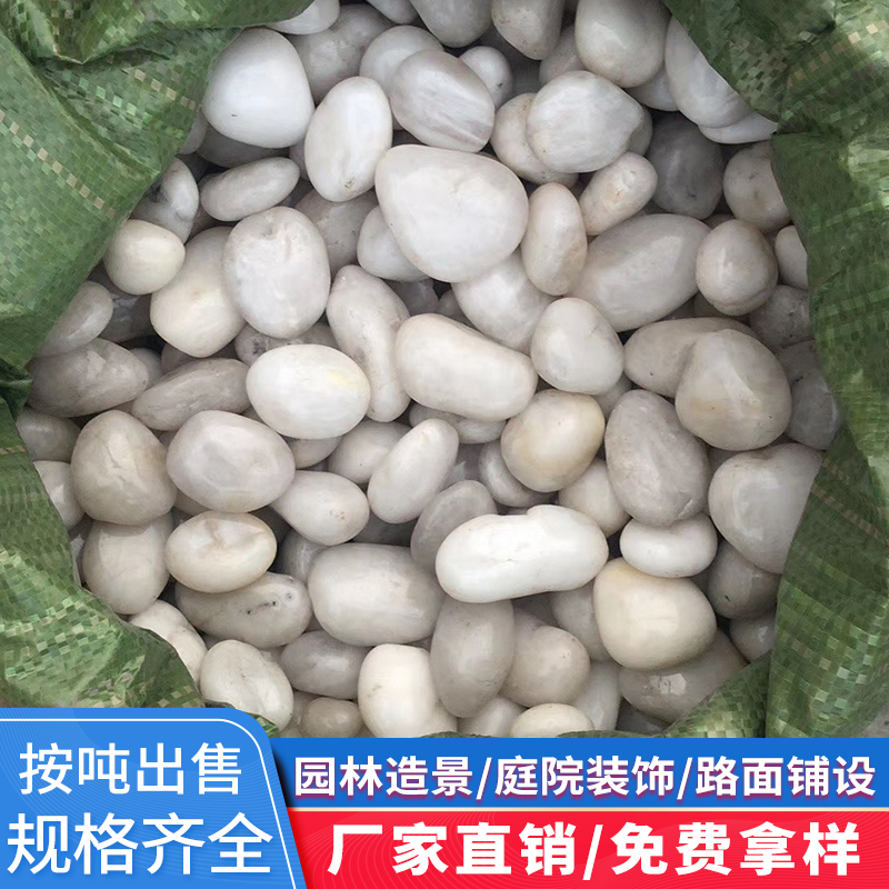 Factory Direct Sales of Nanjing Rain Flower Stone, Finely Polished High-Gloss White Pebbles for Garden Decoration, Stone Landscaping, and Paving Factory Direct Sales of Nanjing Rain Flower Stone, Finely Polished High-Gloss White Pebbles for Garden Decoration, Stone Landscaping, and Paving