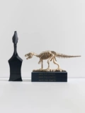 Dnnni Dinosaur Fossil Studyses Study Room Bogu Shelf Living Room магазин магазинов подарки юрская творческая модель