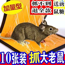 Strong sticky mouse board mousetrap super sticky mouse glue paper indoor big mouse stick big mouse paste
