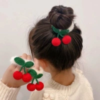 Шицкий вишневый кружок 2 Установка 2