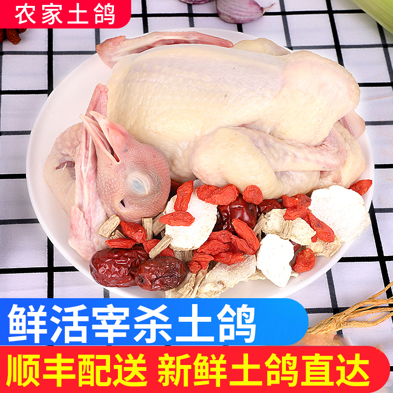 守绿 新鲜乳鸽 散养鸽子 3只共2斤以上 天猫优惠券折后¥68.8顺丰包邮(¥88.8-20)送汤料包 守绿 新鲜乳鸽 散养鸽子 3只共2斤以上 天猫优惠券折后¥68.8顺丰包邮(¥88.8-20)送汤料包