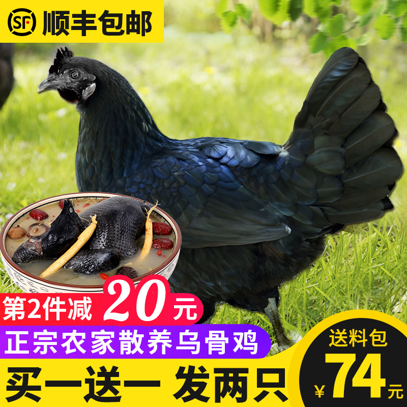 守绿 现杀新鲜散养300天乌骨鸡 1000g*2只 双重优惠折后￥69包邮