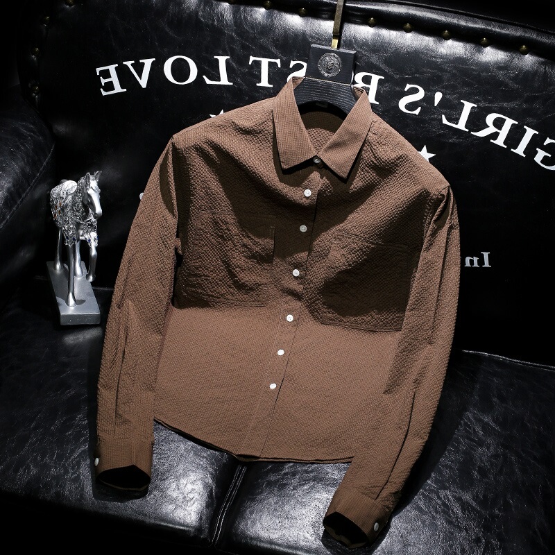 Spring and Autumn No-Iron Korean Style New Fashion Loose Versatile Casual Coffee-Colored Shirt with Bubble Texture Fabric