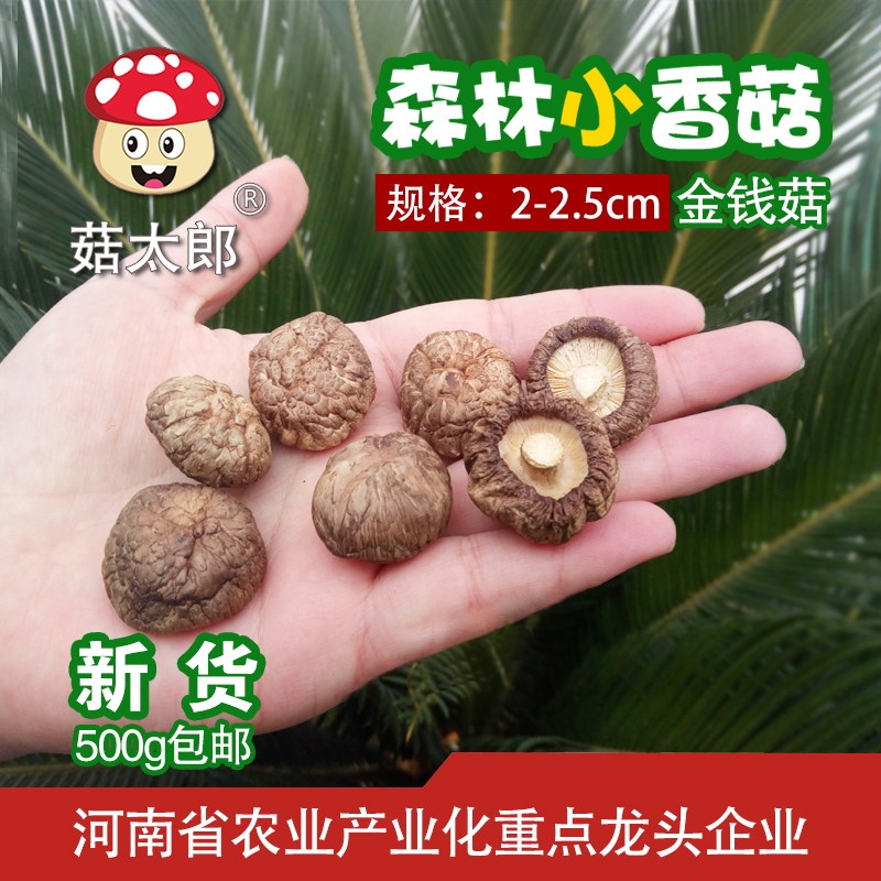 Mushrooms Taro Dried Mushrooms Money Mushrooms New Goods Cut Foot Winter Mushrooms Terte Edible Mushroom Small Shiitake Mushrooms Dry Goods 250g-Taobao