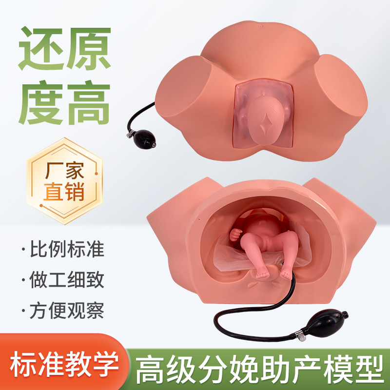 高级助产训练模型妇产科分娩模型产科教学模具助产士培训难产示教