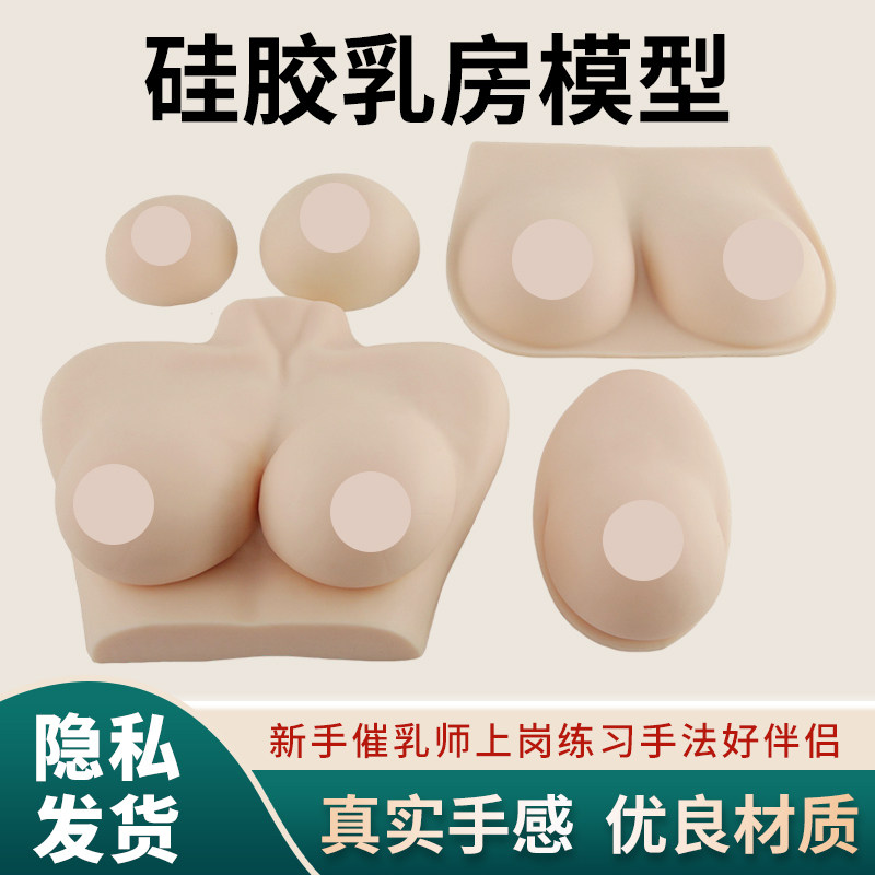 家政母婴护理培训教具 女性乳房模型 假胸全硅胶手感真实  催乳师
