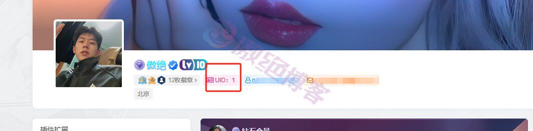 子比主题美化 – 用户中心添加UID/用户名/邮箱按钮-傲绝博客