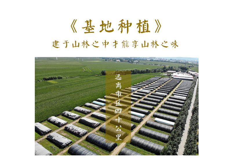 国家地标产品 李小北 东北猴头菇干货 500g 健脾养胃 图6