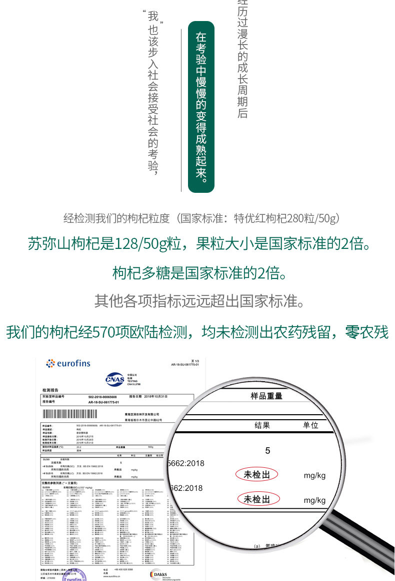 苏弥山 特优级正宗免洗枸杞 400g 欧美有机认证 图6