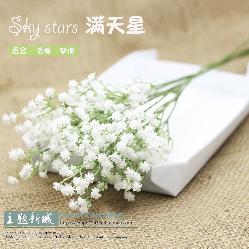 Fake flower dry plastic simulation with star decoration flower wedding dress film photographer with flower bouquet living room flowers