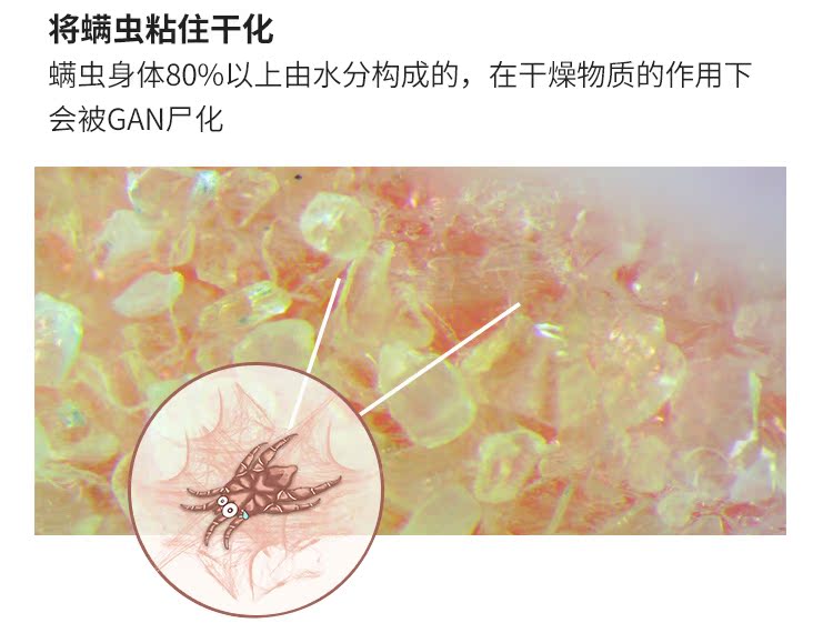 bình xịt diệt gián Nhật Bản hengai 哼 tình yêu dán châu chấu hộ gia đình giường bộ đồ giường sofa túi hút để mạt ngoài 螨 pad - Thuốc diệt côn trùng 	bình xịt muỗi bằng điện