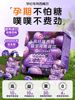 Renhe Prune Juice Concentrated Fruit Juice Light Meal Savior Solid Drink Official Authentic Flagship Store