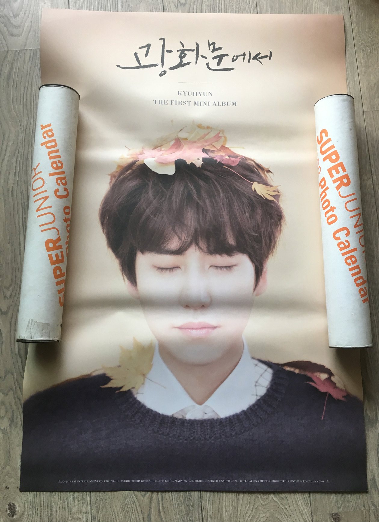 SPOT) SUPER JUNIOR Cho Kyu-hyun in Gwanghwamun SOLO poster