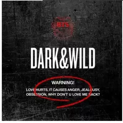 (Spot) BTS Bulletproof Youth League DARK WILD PAY small ticket card