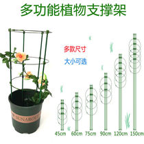 Triangular Plum Climbing Vines Rack Moon Season Multilayer Retractable Flower Support Rod Green Roe Iron Thread Lotus Plant Crab Claw Lanylon Shelf