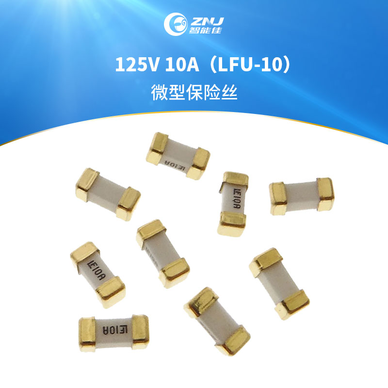 智能佳 微型保险丝125V 10A（LFU-10）