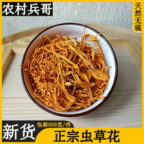 Special class wild dried caterpillar fungus flower 500g fresh dry goods saucepan soup material commercial household large spore head chrysalis