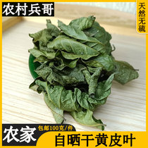 Farmhouse self-tanned yellow skin leaves dry goods 500g wild yellow skin leaves oil skin oil plum leaves Chinese herbal medicine