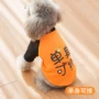 Teddy vest mùa xuân và mùa hè chó con hai chân quần áo schnauzer rag big dog vừa chó quần áo dâu - Quần áo & phụ kiện thú cưng áo chó pug