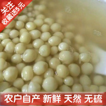 2023 Self-produced fresh frozen chicken head rice Fresh chicken head rice with glutinous rice and glutinous rice 400g large grains