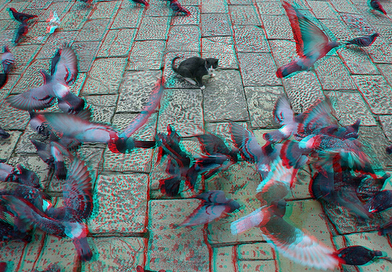 Lunettes 3D - Ref 1243058 Image 12