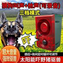 Large volume Solar Insect Repellent to Drive Wild Boar Dog Calls Sensing Timing Warning Pops and Flashing Lights Anti-Thief Alarm