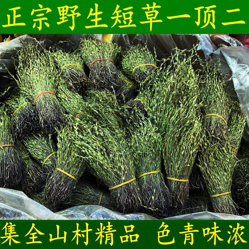 Single foot gold single foot gold Accumulate Grass Lone Foot and Dried Wild Only 50 gr of the Fresh Sundry Wild Solo