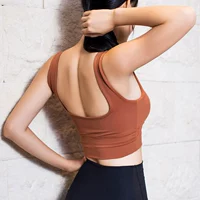 Mới tập thể dục yoga châu Âu và Mỹ làm đẹp trở lại tập hợp vest làm đẹp trở lại sốc bra bra bra thể thao mùa thu nữ - Đồ lót thể thao áo ba lỗ tập gym nữ