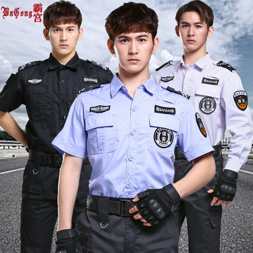 СИА ЗУКОКСУНА ВАНВУ ГРИНДА, Австралия, Полянические басианские струны Стул созвездие