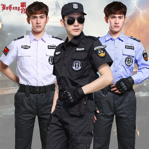 СИА ЗУКОКСУНА ВАНВУ ГРИНДА, Австралия, Полянические басианские струны Стул созвездие