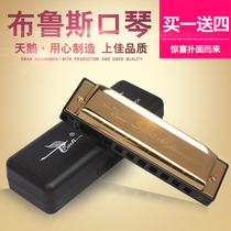  Swan 10-hole C tune Blues harmonica Beginner 10-hole harmonica Children adult harmonica musical instrument
