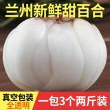 Шунлан 菪 顺 顺 侍 Близнецы 鹳 1000 г 嘁 嘁 顺 顺 6 Dabai -View Марганец -кольцо сухо