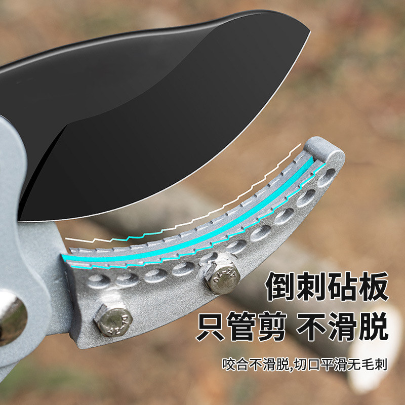 剪枝剪刀修枝剪果树修枝园艺大剪刀剪树枝专用修剪园林加长粗枝剪