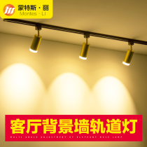 Home spotlight led track light Nordic living room TV background wall bedroom spotlight COB guide rail light ceiling