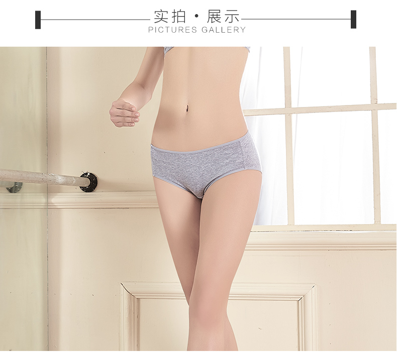 Slip ANNPHIA P161 en coton - Ref 640463 Image 14