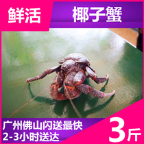(Coconut crab fresh air transport) a king crab about 3kg king crab snow crab Emperor crab red hairy crab Pine Leaf