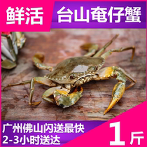 (Wild Guangdong Taishan crab blue crab) 2kg from fresh red cream meat crab cream crab mother crab butter crab