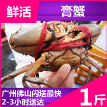 Fresh Taishan green crab Sanmen red cream crab weighing price (2 pounds from the shoot) crab large wild meat crab